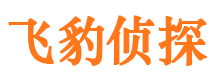 临潭外遇出轨调查取证